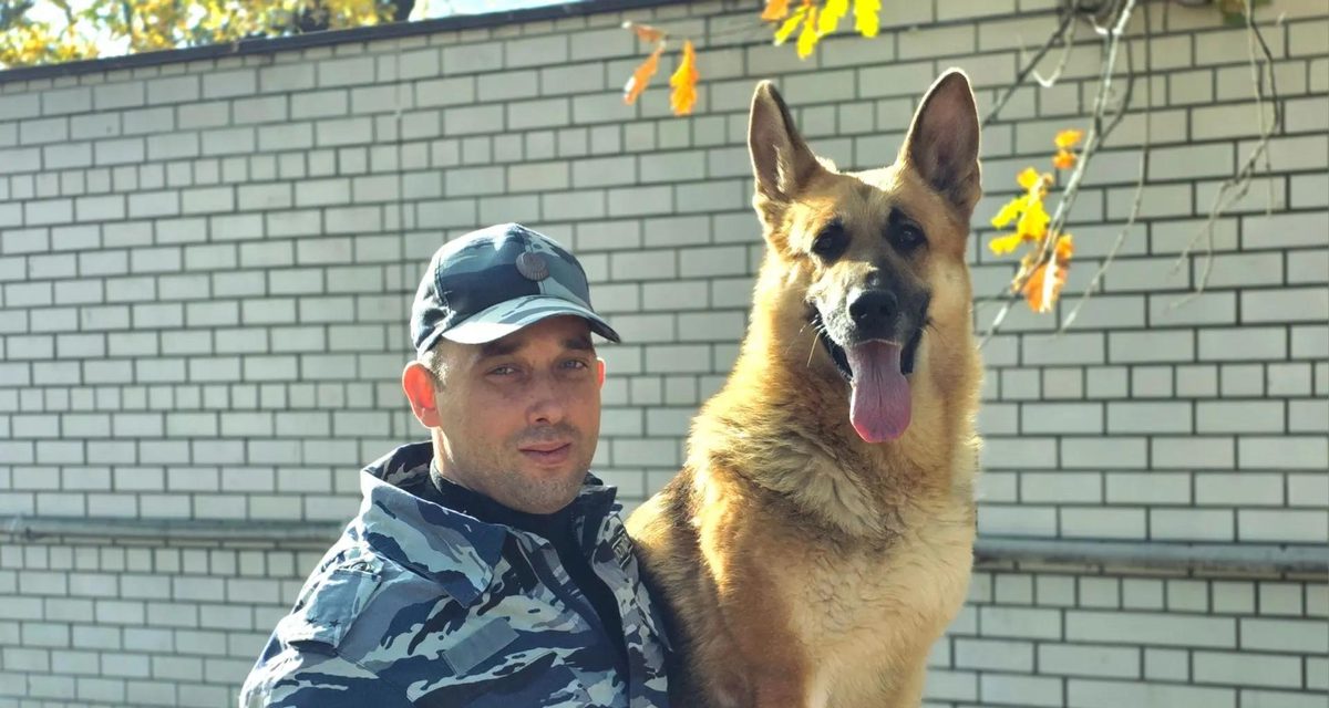 Воронежский кинолог семь лет ищет наркотики с Челси и готовит новых напарников