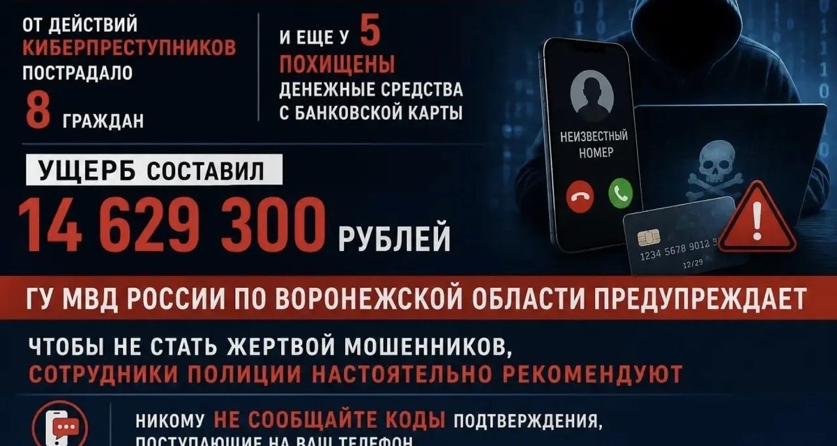 18‑летний воронежец отдал мошенникам 10,3 млн рублей после СМС про «мясной букет»